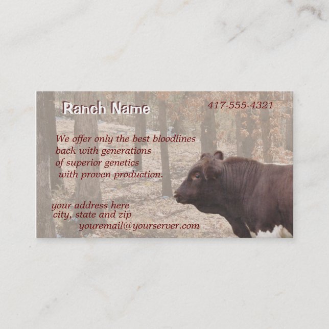 Carte De Visite PLBBizCard-personnaliser comme nécessaire (Devant)