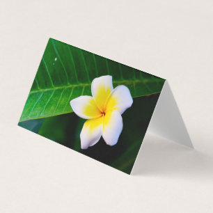 Carte De Visite Plumeria