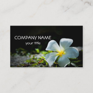 Carte De Visite Plumeria blanc