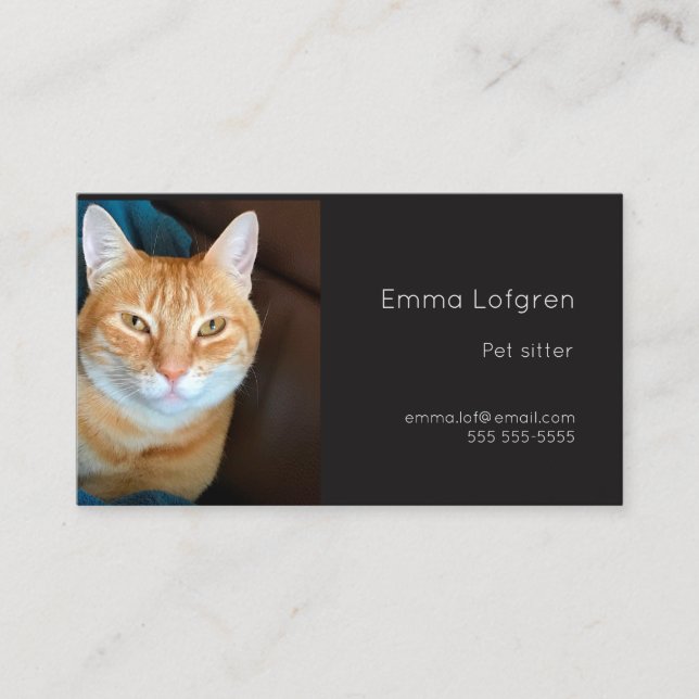 Carte De Visite Poignée de chat orange (Devant)
