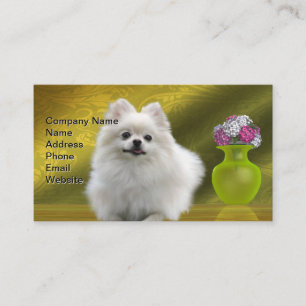 Carte De Visite Pomeranian Dog
