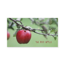 Pommes de pommes rouges fraîches et bio de pomme