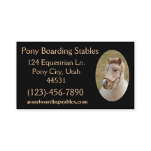 Pony, exemple1