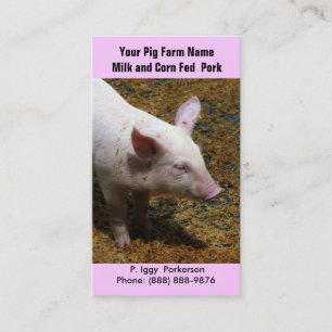 Carte De Visite Porc de bébé pour l'agriculture de porc