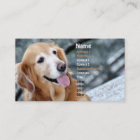 Portrait de chien/photographie de sourire de