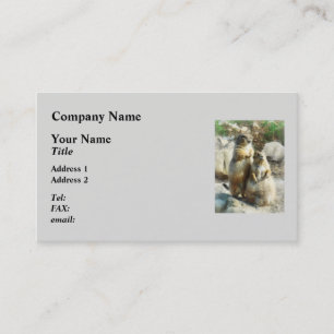 Carte De Visite Portrait formel de chien de prairie