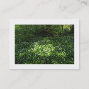 Carte De Visite Pot d'ail (frontière)