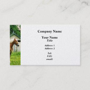 Carte De Visite Poulain Palomino dans un pâturage - Finition Plati