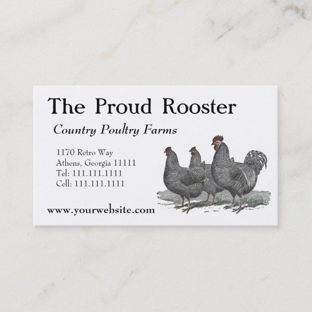 Carte De Visite Poulets de Plymouth Rock, coq (Devant)