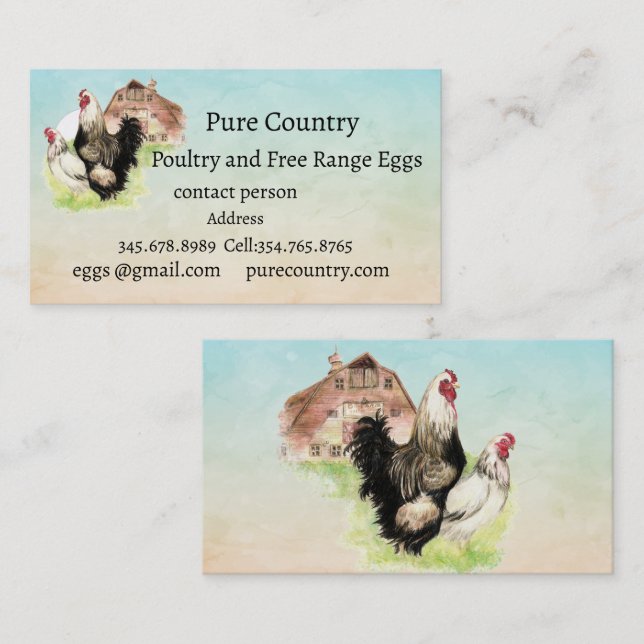 Carte De Visite Poulets, Volaille, Oeufs Libre biologique (Devant / Derrière)