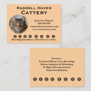 Carte de visite pour élevage de chats Ragdoll pers
