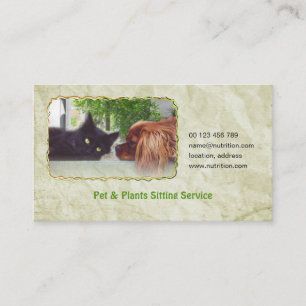 carte de visite pour l'animal familier et les