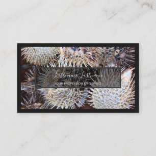 Carte De Visite Pour les experts maritimes et les amateurs de frui