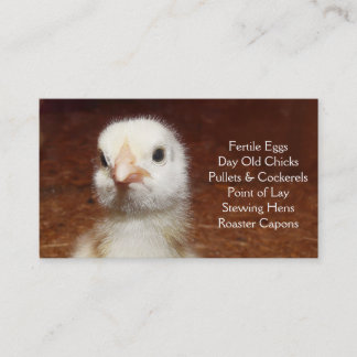Carte De Visite Poussin d'un jour - couches ou ferme de poulets à