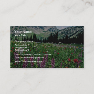 Carte De Visite Pré alpin dans la nature de Pasayten, Californie