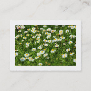 Carte De Visite Pré Daisy (Bordé)