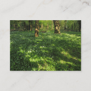 Carte De Visite Printemps dans les bois