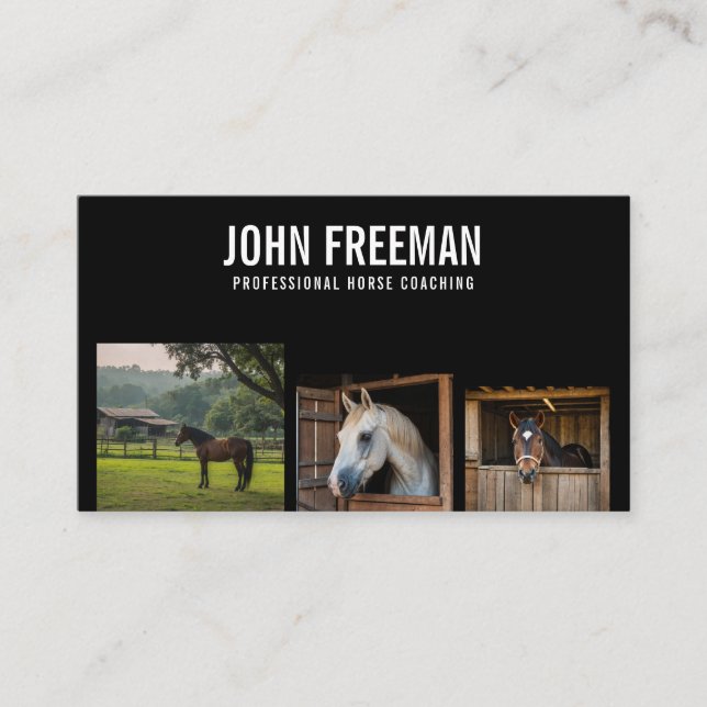 Carte De Visite Professionnel Black & White Horse Photo Equine (Devant)