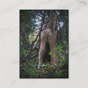 Carte De Visite Qui vit ici ? ATC