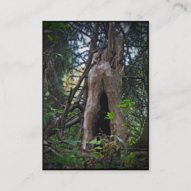 Carte De Visite Qui vit ici ? ATC (Devant)