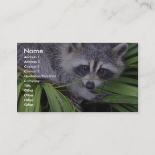 Carte De Visite Raccoon Aux Plantes