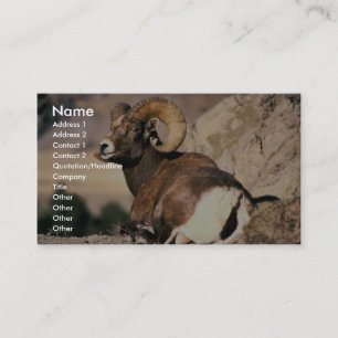 Carte De Visite RAM de Bighorn