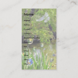 Carte De Visite Recycler la Terre !