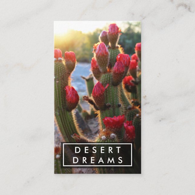 Carte De Visite Red Cactus Flower Desert Garden Photo Voyage (Devant)