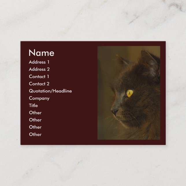 Carte De Visite Regard (Devant)