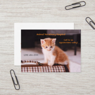 Carte De Visite Rendez-vous pour le soin des animaux de compagnie 