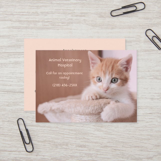 Carte De Visite Rendez-vous pour le soin des animaux de compagnie  (Devant/Arrière en situation)