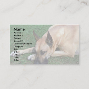 Carte De Visite Repos de Great Dane