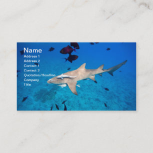 Carte De Visite Requin
