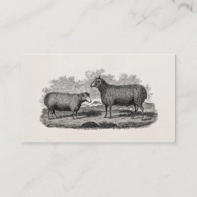 Carte De Visite Rétro ferme de 1800s de moutons d'illustration (Devant)