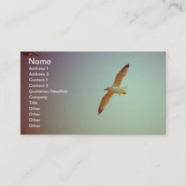 Carte De Visite Rétro mouette (Devant)