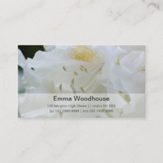 Carte De Visite Rhododendron blanc du rhododendron | Weisse