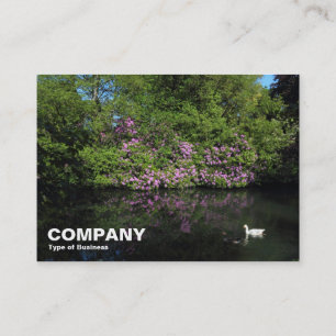 Carte De Visite Rhododendrons