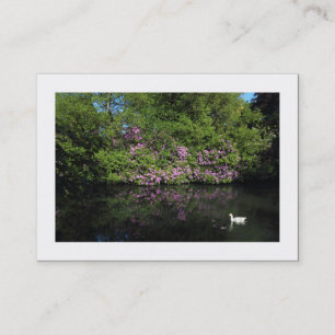 Carte De Visite Rhododendrons (frontière)