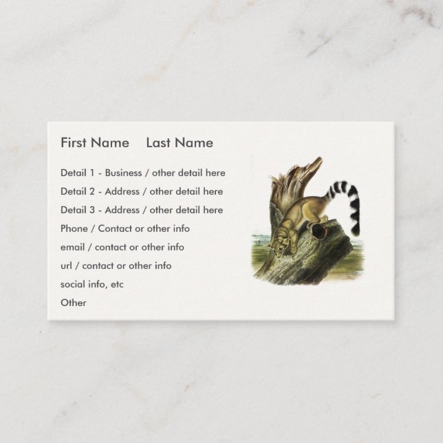 Carte De Visite Ringtail (Bassaris à queue annelée, Chat à queue a (Devant)