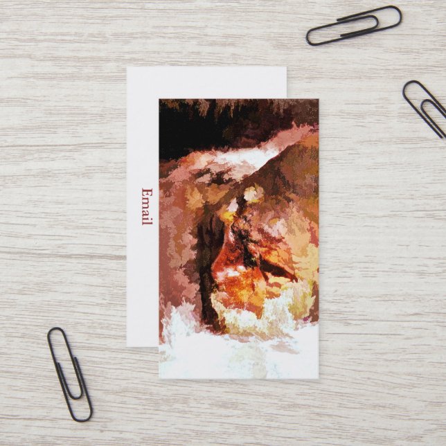 CARTE DE VISITE RIVER SPIRIT (Devant/Arrière en situation)