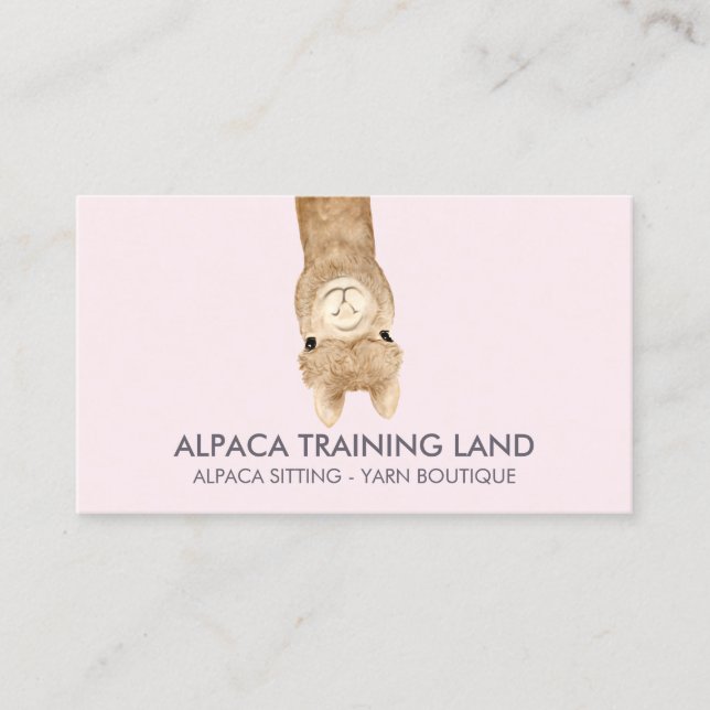 Carte De Visite Rose Beige Cute Alpaca (Devant)