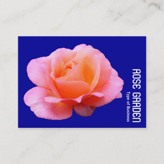 Carte De Visite Rose rose (bleu profond) (Devant)
