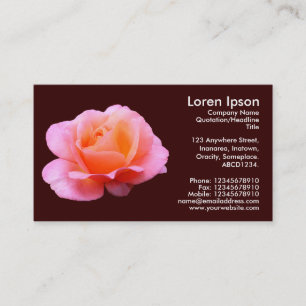 Carte De Visite Rose rose - Chocolat foncé