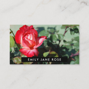 Carte De Visite Rose rouge, fleuriste