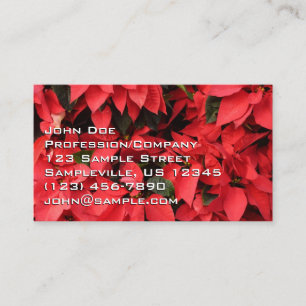 Carte De Visite Rouge Poinsettias II Noël Fête Florale