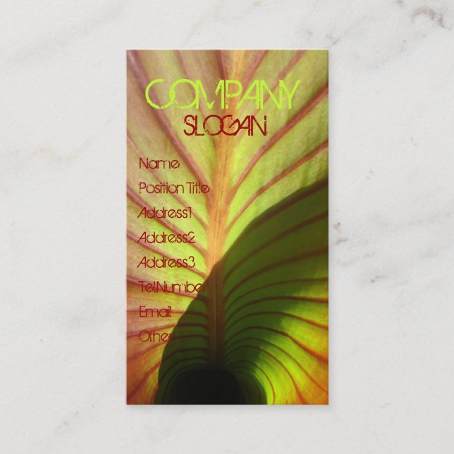 Carte De Visite Rustique (Devant)