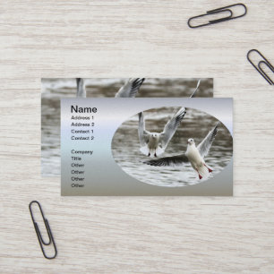 Carte De Visite Saguls en vol