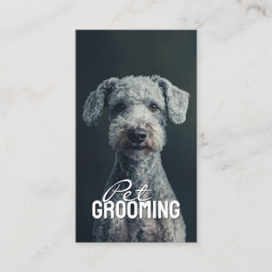 Carte De Visite Salon pour animaux domestiques Bedlington Terrier 
