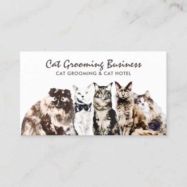Carte De Visite Salon pour animaux domestiques Chats Spas (Devant)