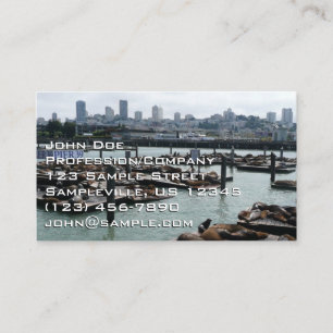 Carte De Visite San Francisco et Otaries de Pier 39 Ciel de la Vil